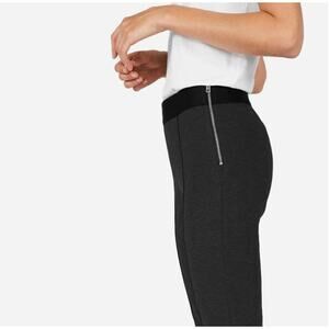 Everlane Dark Gray Stretch Ponte Skinny Pant